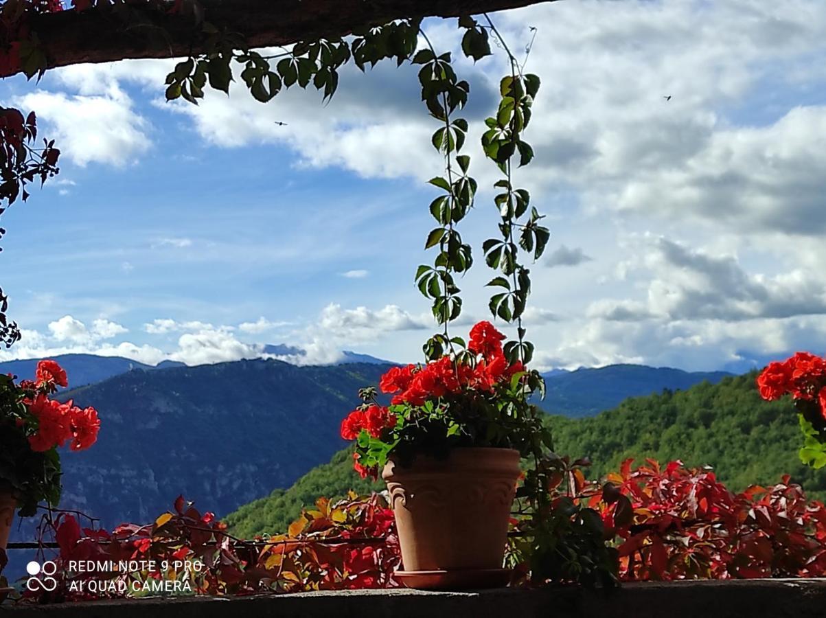 Casa Rural Vilaspasa, Alquiler Integro Gotarta Extérieur photo
