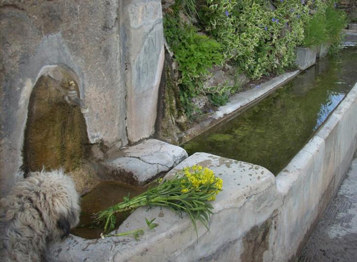 Casa Rural Vilaspasa, Alquiler Integro Gotarta Extérieur photo